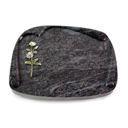 Grabbuch Papyros/Orion Rose 8 (Color)