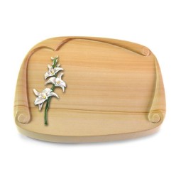 Grabbuch Papyros/Woodland Orchidee (Color)