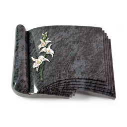 Grabbuch Prestige/Orion Orchidee (Color)