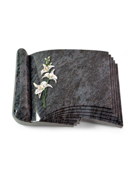 Grabbuch Prestige/Orion Orchidee (Color)