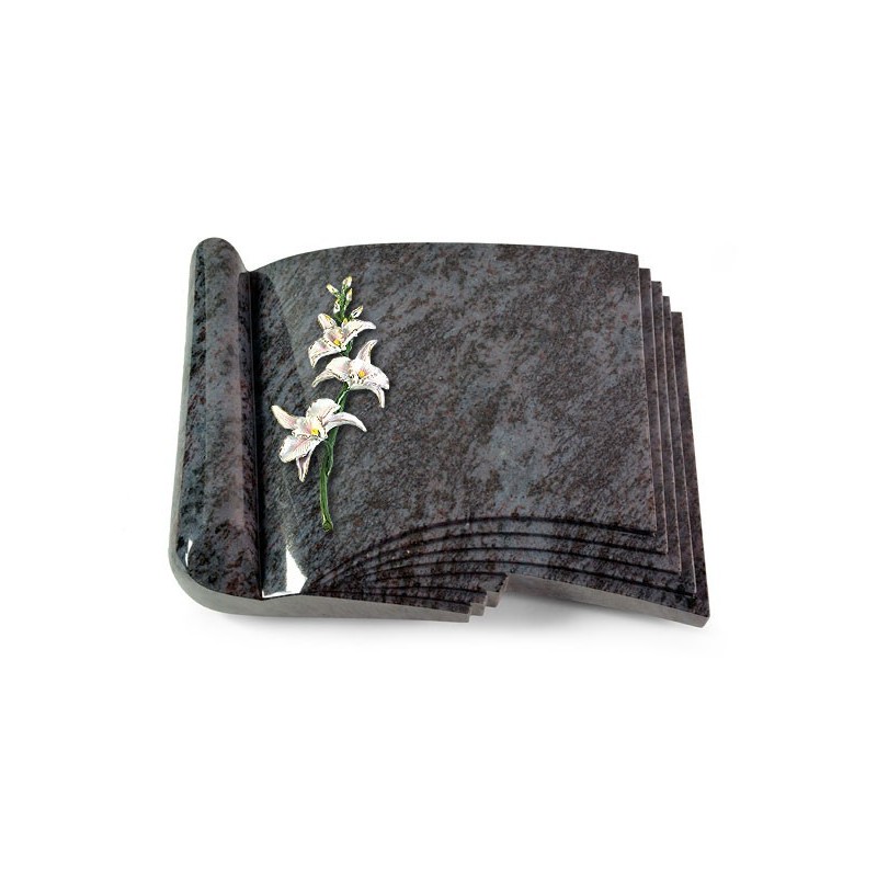 Grabbuch Prestige/Orion Orchidee (Color)