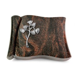 Grabbuch Voltaire/Aruba Gingozweig 1 (Alu)