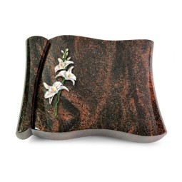 Voltaire/Aruba Orchidee (Color)