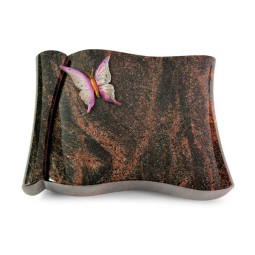 Grabbuch Voltaire/Aruba Papillon 1 (Color)