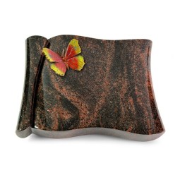 Grabbuch Voltaire/Aruba Papillon 2 (Color)