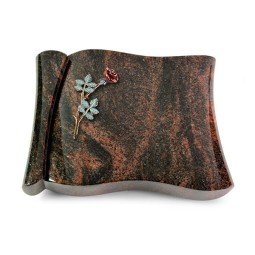 Grabbuch Voltaire/Aruba Rose 4 (Color)