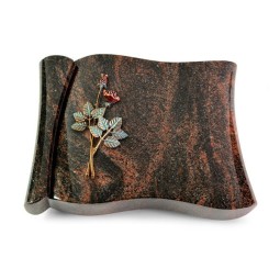 Grabbuch Voltaire/Aruba Rose 5 (Color)