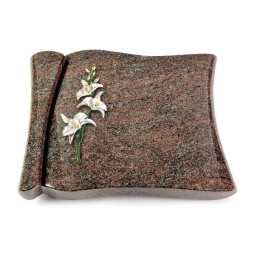 Grabbuch Voltaire/Paradiso Orchidee (Color)