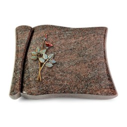 Grabbuch Voltaire/Paradiso Rose 5 (Color)