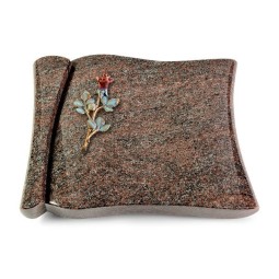 Grabbuch Voltaire/Paradiso Rose 7 (Color)