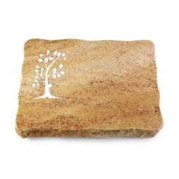 Grabplatte Kashmir/Pure Baum 1