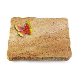 Grabplatte Kashmir/Pure Papillon 2 (Color)