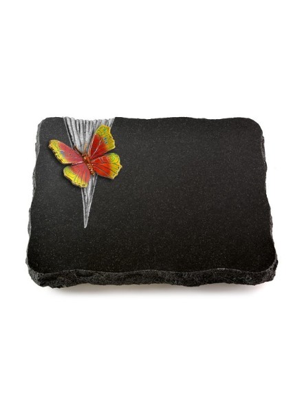 Grabplatte Indisch Black Delta Papillon 2 (Color)