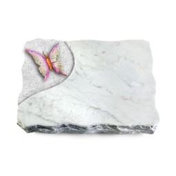 Grabplatte Omega Marmor/Folio Papillon 1 (Color)