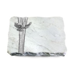 Grabplatte Omega Marmor/Strikt Taube (Alu)