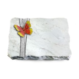 Grabplatte Omega Marmor/Strikt Papillon 2 (Color)