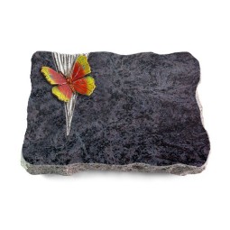 Grabplatte Orion/Delta Papillon 2 (Color)