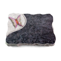 Grabplatte Orion/Folio Papillon 1 (Color)