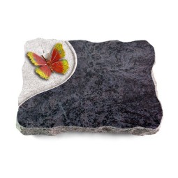 Grabplatte Orion/Folio Papillon 2 (Color)