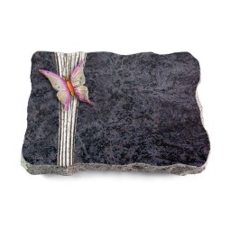 Grabplatte Orion/Strikt Papillon 1 (Color)