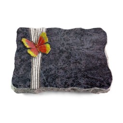 Grabplatte Orion/Strikt Papillon 2 (Color)