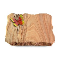 Grabplatte Rainbow/Delta Papillon 2 (Color)