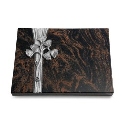 Grabtafel Aruba Strikt Gingozweig 1 (Alu)