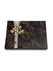 Grabtafel Aruba Strikt Gingozweig 1 (Bronze)