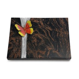 Grabtafel Aruba Strikt Papillon 2 (Color)