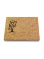 Grabtafel Kashmir Pure Baum 1