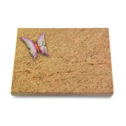 Grabtafel Kashmir Pure Papillon 1 (Color)
