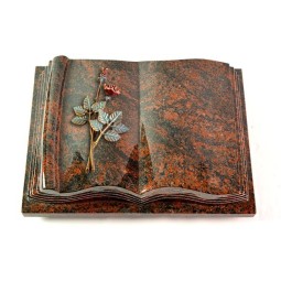 Grabbuch Antique/Aruba Rose 5 (Color)