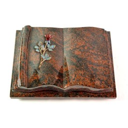 Grabbuch Antique/Aruba Rose 7 (Color)