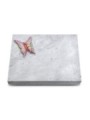 Grabtafel Omega Marmor Pure Papillon 1 (Color)