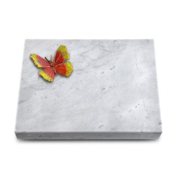 Grabtafel Omega Marmor Pure Papillon 2 (Color)