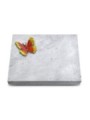 Grabtafel Omega Marmor Pure Papillon 2 (Color)