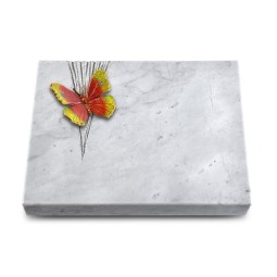 Grabtafel Omega Marmor Delta Papillon 2 (Color)