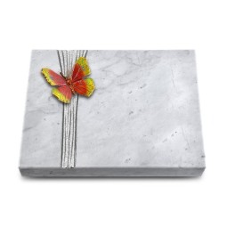 Grabtafel Omega Marmor Strikt Papillon 2 (Color)