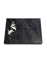 Grabtafel Orion Pure Orchidee (Color)