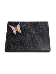 Grabtafel Orion Pure Papillon 1 (Color)