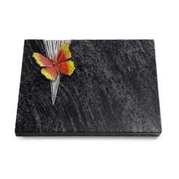 Grabtafel Orion Delta Papillon 2 (Color)