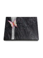 Grabtafel Orion Strikt Papillon 1 (Color)