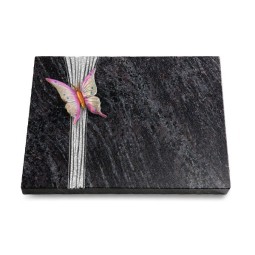 Grabtafel Orion Strikt Papillon 1 (Color)