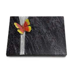 Grabtafel Orion Strikt Papillon 2 (Color)