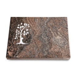 Grabtafel Paradiso Pure Baum 1