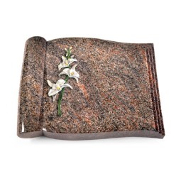 Grabbuch Biblos/Himalaya Orchidee (Color)