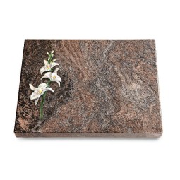 Grabtafel Paradiso Pure Orchidee (Color)