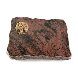 Aruba Pure Baum 2 (Bronze)
