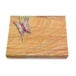 Grabtafel Rainbow Delta Papillon 1 (Color)