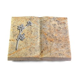 Grabbuch Livre/New Kashmir Rose 9 (Alu)